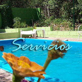 Servicios